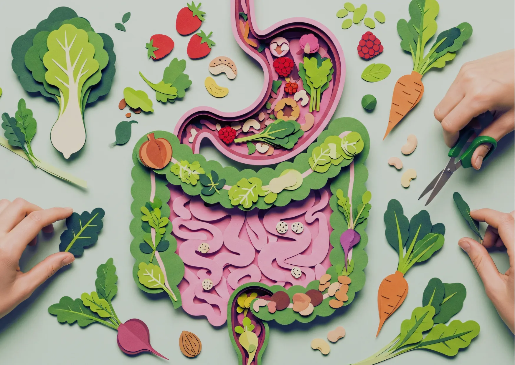 Microbiota Intestinale